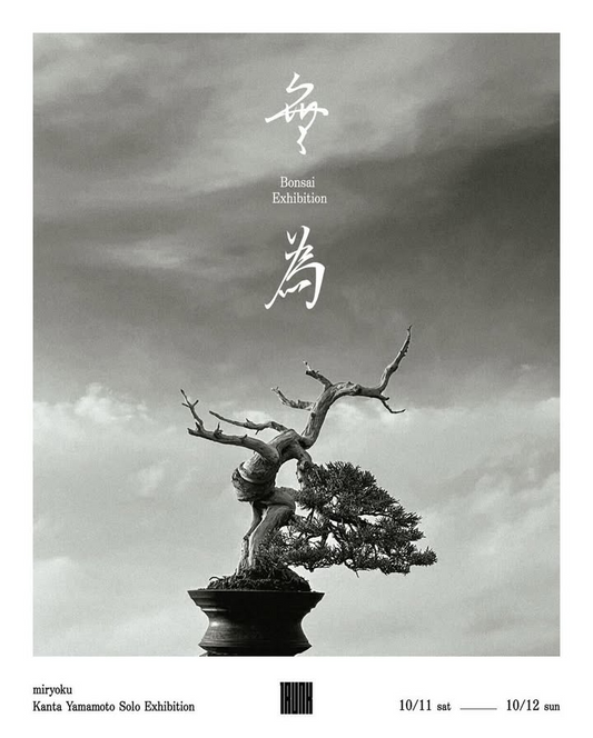山本寛太が盆栽展示「無為」2025を10月11日から開催、自然に従うことをテーマにTRUNK(HOTEL) CAT STREETで実施