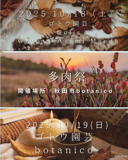 秋田サボテン多肉植物クラブが多肉祭2025をbotanicoで開催、ゴトウ園芸やSolisが出展し秋田の植物愛好家の関心を集める