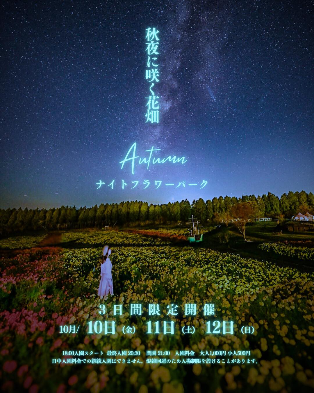 くじゅう花公園が秋夜に咲く花畑Autumnナイトフラワーパークを開催、3日間のライトアップが竹田市久住で夜間景観を演出