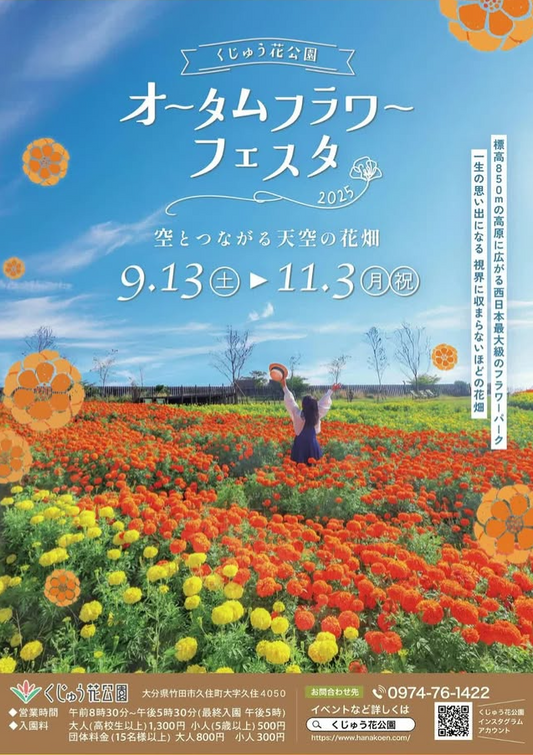 くじゅう花公園がオータムフラワーフェスタ2025を開催、マリーゴールドとケイトウが園内一面を彩り秋の見頃が長期間続く