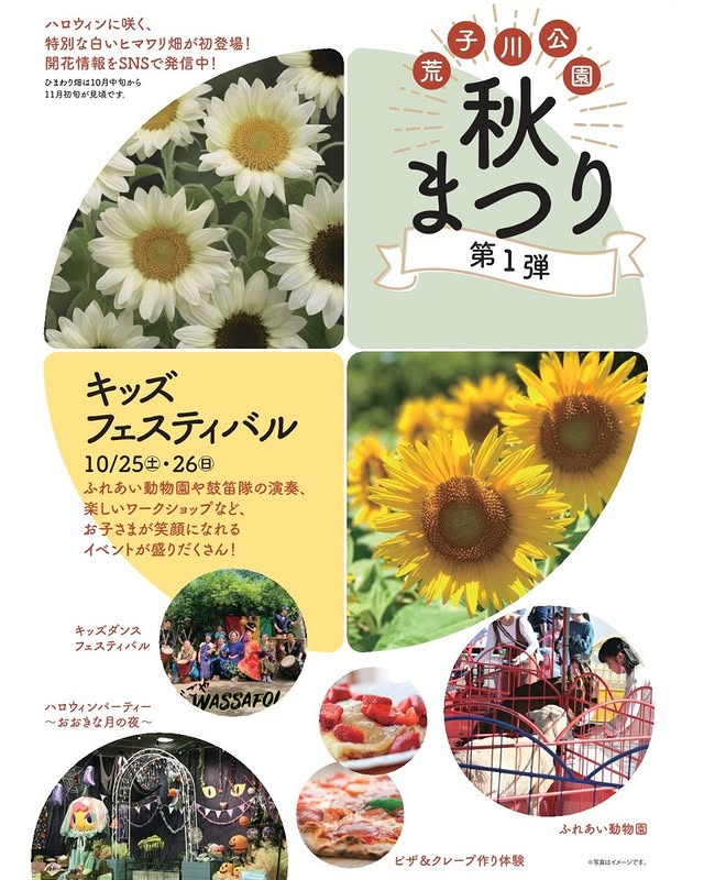 荒子川公園秋まつり2024を10月26日から開催、ふれあい動物園とワークショップで子ども向けイベント充実
