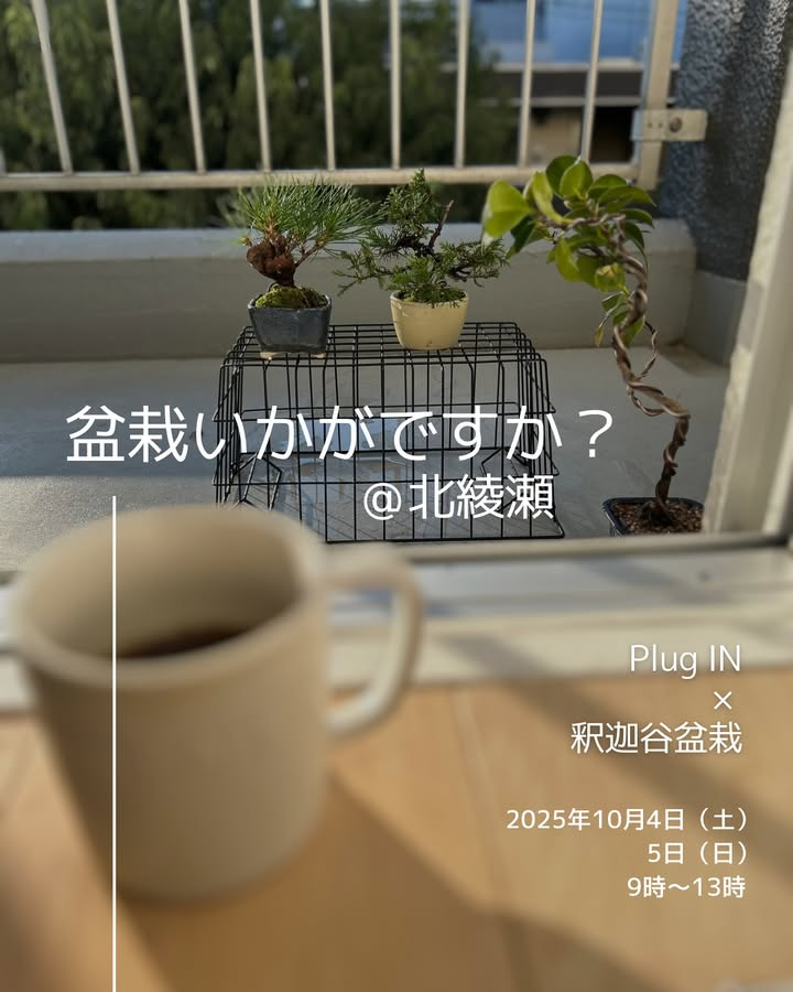 PLUG-iN kitaayaseで盆栽いかがですか2025を10月4日から開催、釈迦谷盆栽によるお手頃盆栽の販売を実施