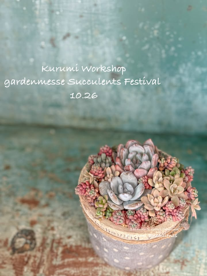 ガーデンメッセ八王子でKurumi Workshop 2025を10月26日に開催、brownsugar_picoの鉢を使用した多肉植物寄せ植えワークショップを実施