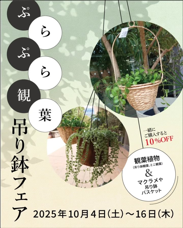 プロトリーフ二子玉川本店がぷらぷら観葉吊り鉢フェア2025を開催、観葉植物とマクラメの同時購入割引が来店者の関心を集める