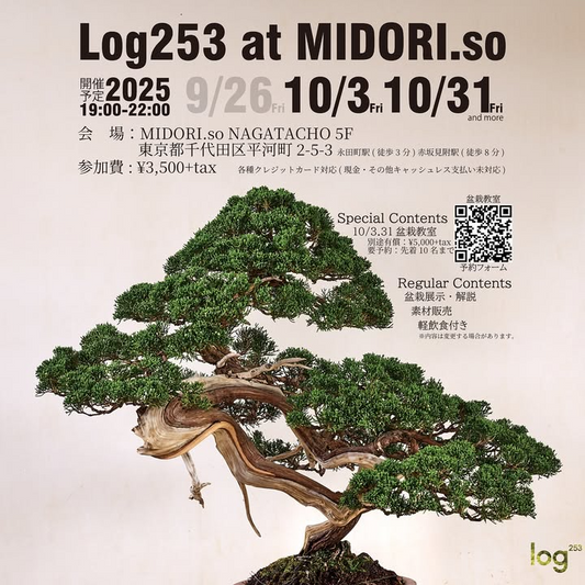 Log253が金曜夜に2025年10月イベントを開催、MIDORI.so NAGATACHOで盆栽教室と即売会が交流を促進