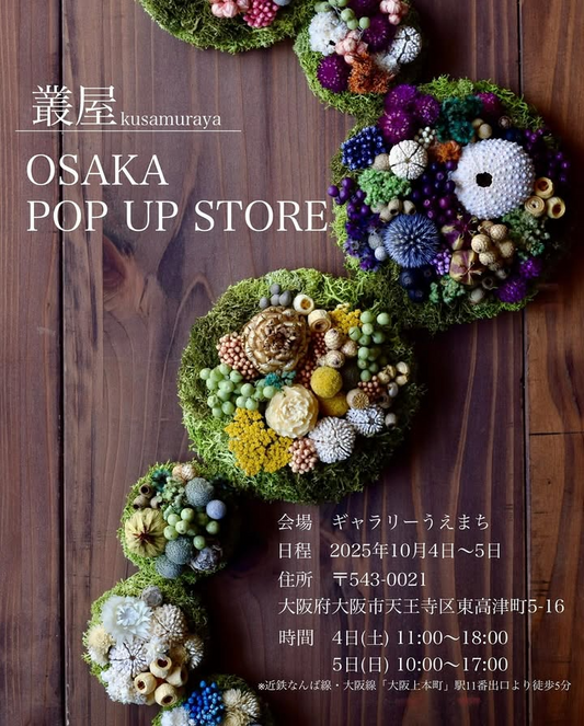 叢屋が大阪でポップアップを開催、群生の類シリーズを展示販売し天王寺のギャラリーうえまちに注目集まる
