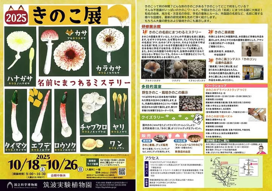 国立科学博物館筑波実験植物園がきのこ展2025を開催、週末ツアーと無料ライブ配信が学びと観察体験に