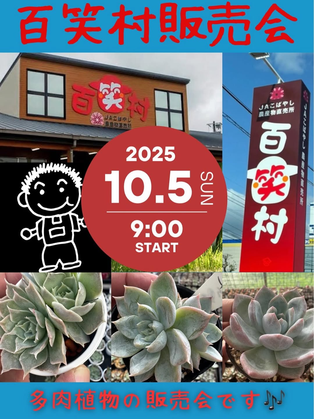 百笑村販売会が多肉植物の実生苗と交配苗を屋根付き外で販売、小林市のJAこばやし百笑村で地域の買い物体験に