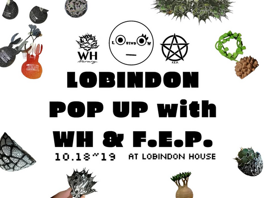 LOBINDONがPOP UPを開催、WH NURSERYとFIVE ELEMENTS PLANTSが合同出展し大阪上野芝で多ジャンル販売に