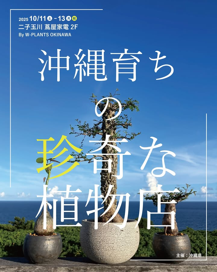 沖縄の小さな植物屋さんが販売会を実施、沖縄育ちの珍奇な植物店2025が二子玉川蔦屋家電に登場し植物愛好家の関心を集める