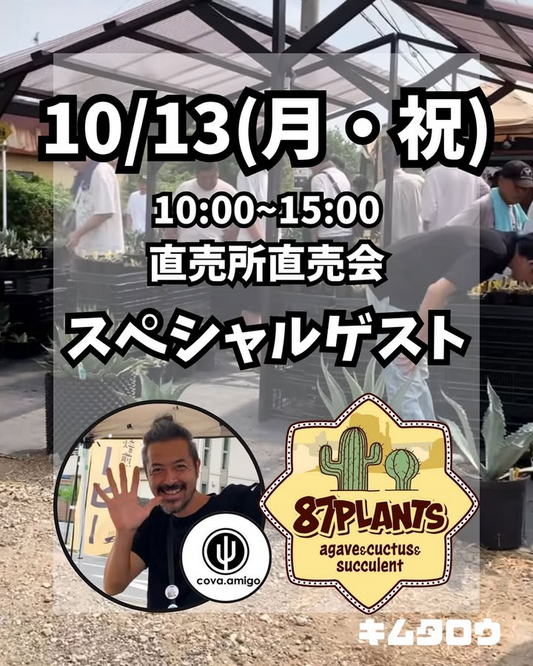 KingPlantsが収穫祭を共同開催、キムタロウアガベ直売所に専門店と焙煎コーヒーが集い来場動機を高める