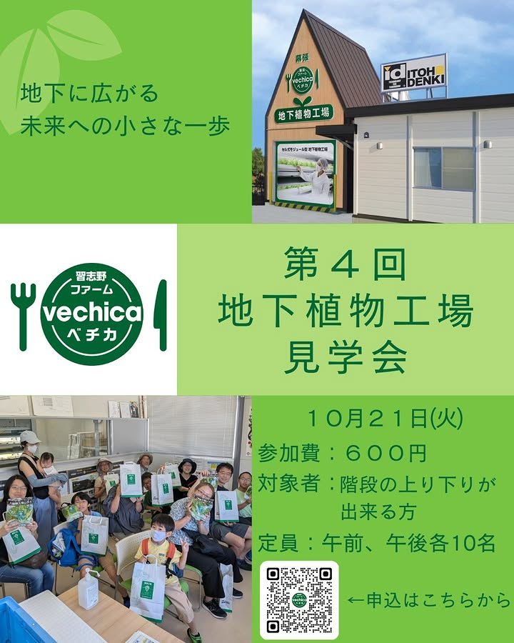 伊東電機習志野ファームベチカが第4回地下植物工場見学会を開催、人工光型栽培の現場公開が地域の学びに