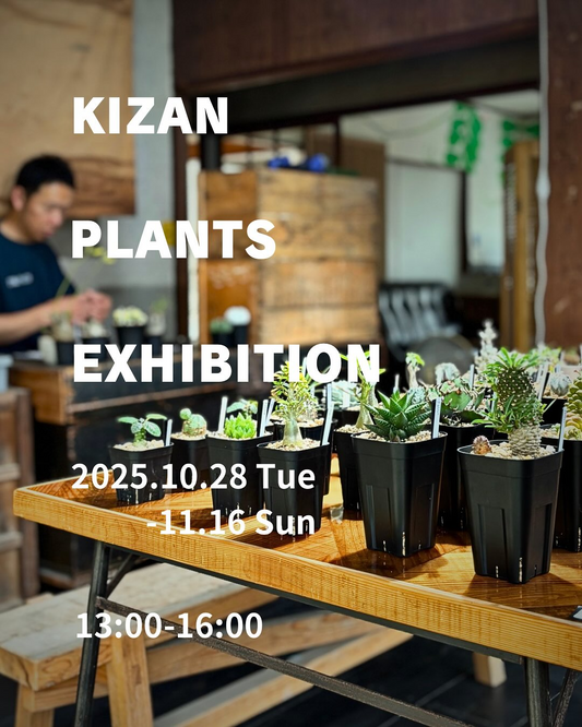 もりたうつわ製作所がKIZANPLANTS展を開催、作家在廊日で作品解説と展示販売が来場者の体験向上に
