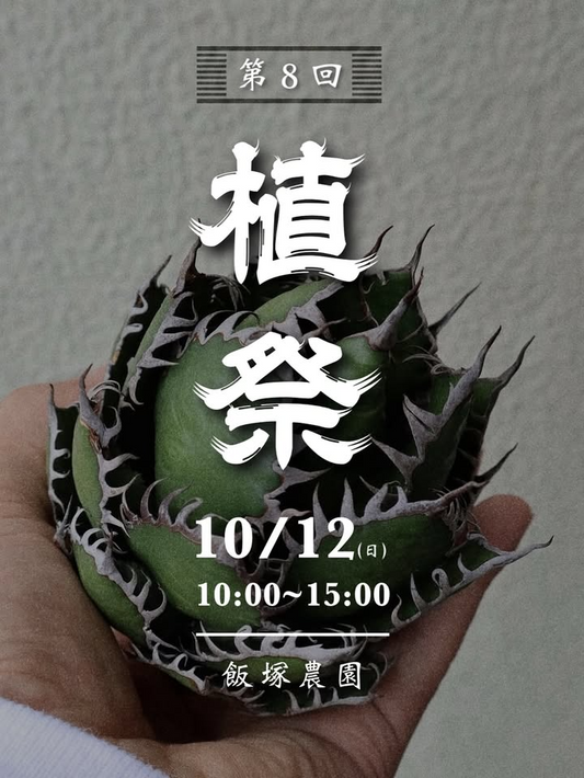 第8回植祭が飯塚農園で開催、植物出店とSYSのシルクスクリーン体験が出雲で集客に