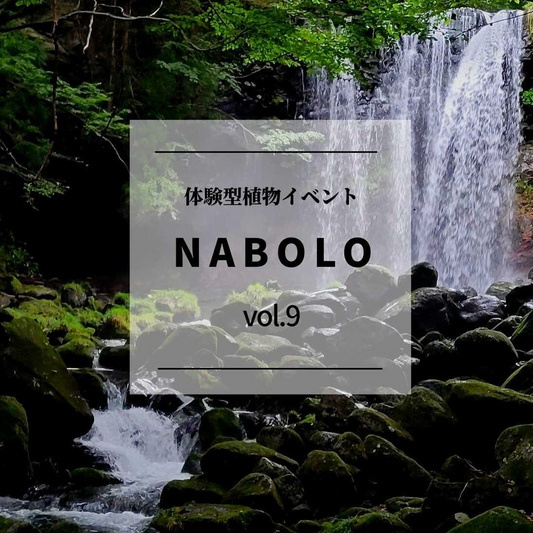 NABOLO Vol.9が体験型苔テラリウムを開催、グローバルゲートのgarage NAGOYAで作品展示とWSが名古屋の植物文化に寄与