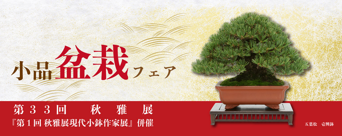 全日本小品盆栽協会が第33回秋雅展2025を開催、上野グリーンクラブで展示と即売と小鉢作家展が愛好家を惹きつける