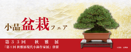 全日本小品盆栽協会が第33回秋雅展2025を開催、上野グリーンクラブで展示と即売と小鉢作家展が愛好家を惹きつける