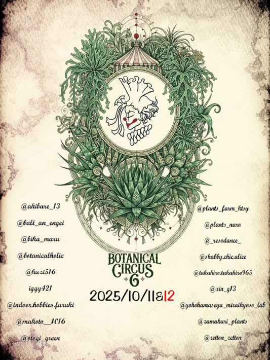 Botanical Circus 6がVORT京橋2階で開催、初参加4組復帰2組を含む18組が多彩な植物展示で来場者の関心を集める