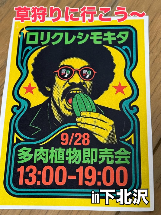 多肉植物即売会がROLLINGCRADLE下北沢で開催、アガベやサボテンと塊根植物が集結し愛好家の関心を集める2025