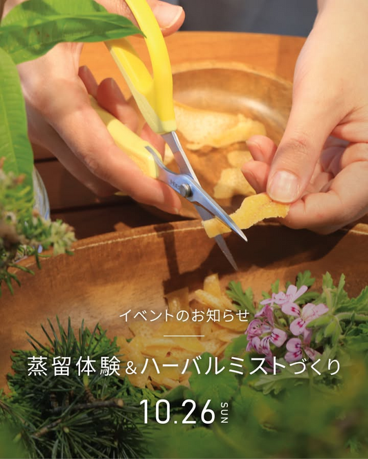 ラ･カスタナチュラルヒーリングガーデンが蒸留体験＆ハーバルミストづくりを開催、庭のハーブ摘み取りと蒸留学習が一日で完結
