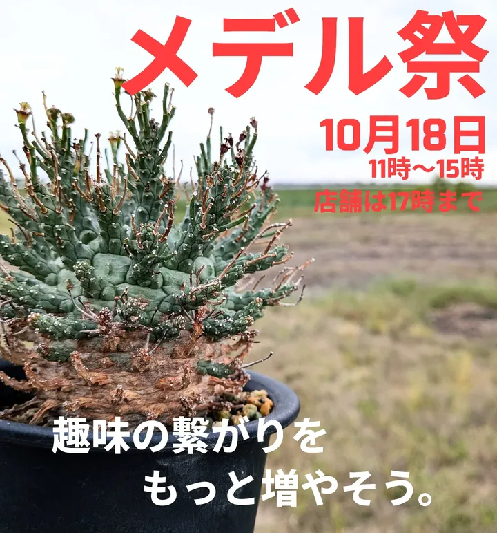 メデルがメデル祭を開催、自家育成の実生苗と繁殖苗の即売と交流が安城市の温室で愛好家の関係を深める