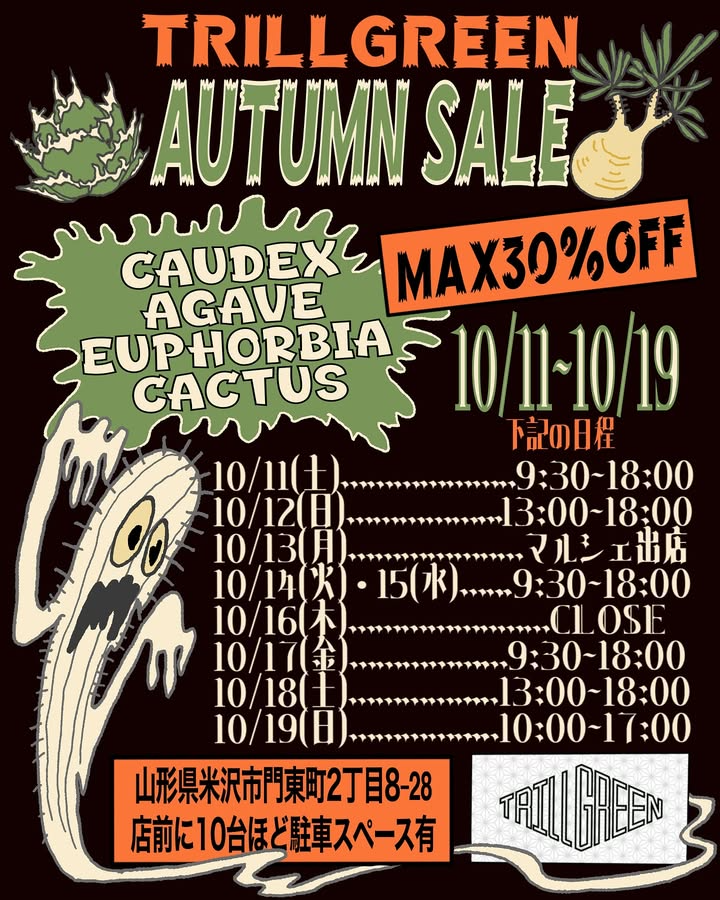 TRILLGREENがAUTUMN SALEを開催、塊根植物やアガベの最大30%OFFが米沢市で愛好家の購買意欲を高める