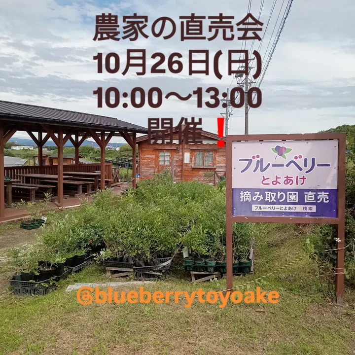 ブルーベリーとよあけが2025年度秋農家の直売会を開催、愛知いしかわ菜園やキッチンとくだが豊明で出店し来場者の注目を集める