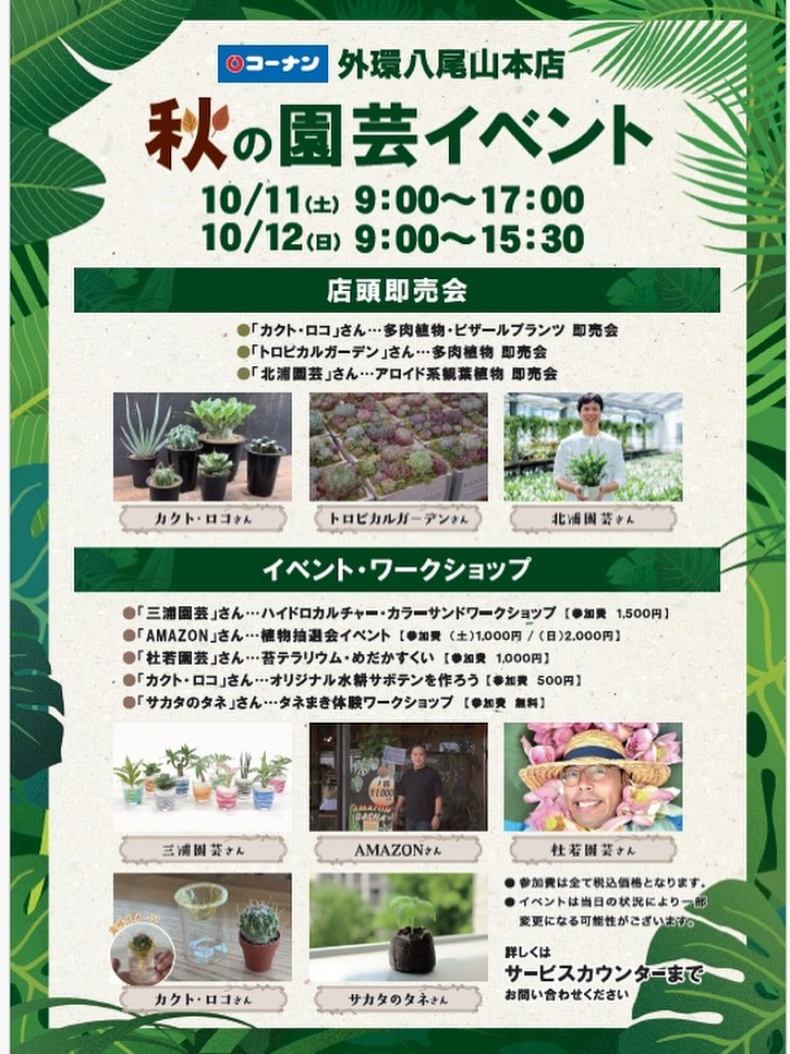 コーナン外環八尾山本店が秋の園芸イベントを開催、多肉やアロイドの即売と体験型ワークショップが八尾で注目を集める