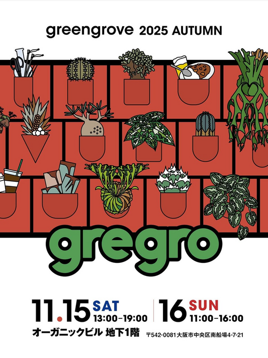 gregro2025AutumnがBPオーガニックスペース南船場で開催、塊根植物やアガベとフィギュアにフードが集結