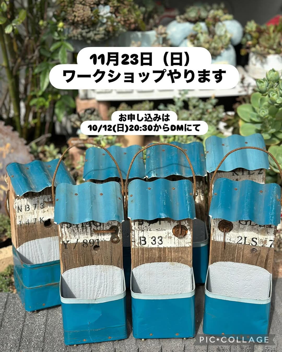 まりんが寄せ植えワークショップ2025を開催、三鷹PIZZA9丁目で小町娘とBeachLumberの鉢が学べる体験