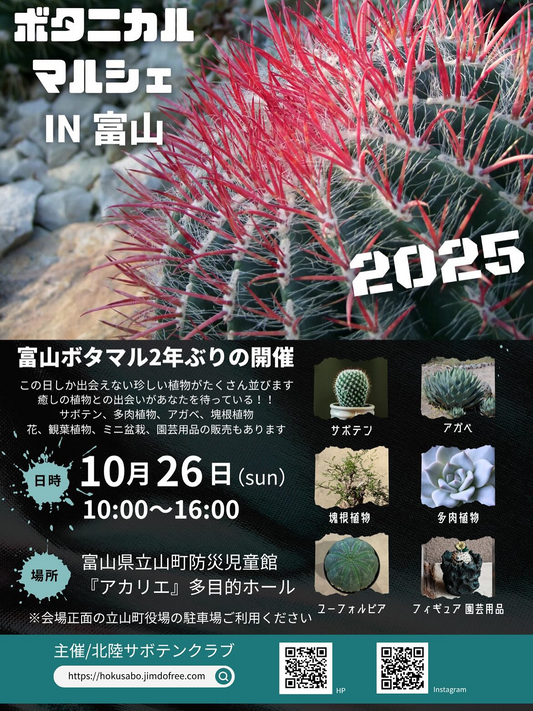 garage SHIBUYAがWEST VILLAGE TOKYOのPOP UPを開催、渋谷スクランブルスクエアでインテリア雑貨の魅力が来店動機に