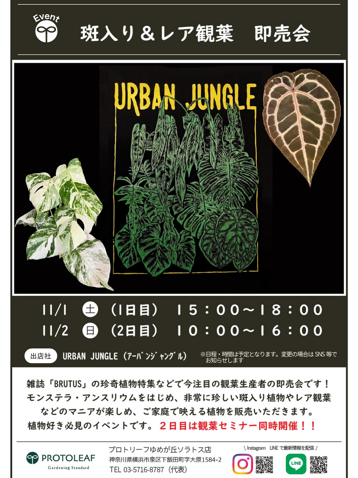 プロトリーフゆめが丘ソラトス店が斑入り＆レア観葉植物の即売会を開催