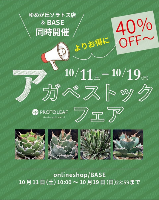 プロトリーフゆめが丘ソラトス店がアガベストックフェアを開催、最低40%OFFの同時開催セールが横浜で注目を集める2025