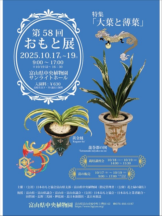 富山県中央植物園が第58回おもと展を開催、芸と斑を鑑賞できる大葉と薄葉の特集が来園者の関心を集める