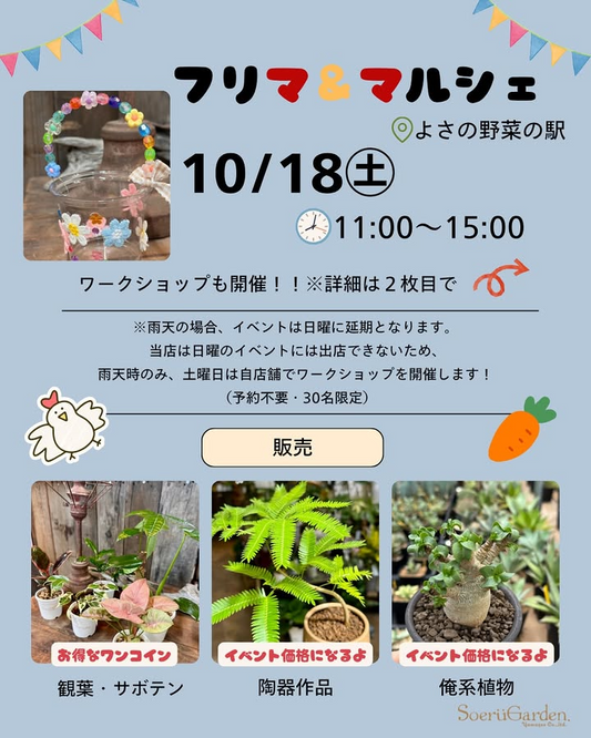 SoerüGardenがフリマ＆マルシェに出店、よさの野菜駅で体験付き植物販売が地域交流の場に