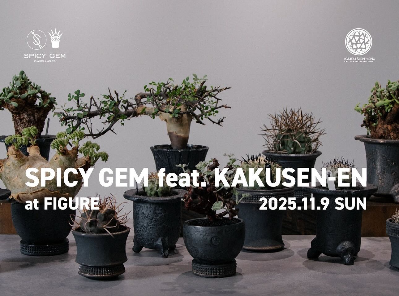 spicy gemが鶴仙園とのコラボを開催、FIGURE HANAREで1日限定のPOPUPが静岡の植物愛好家に届く - リーフラ編集部