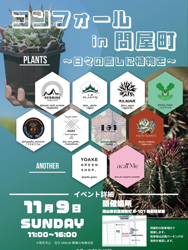 主催YUTO PLANTSがコンフォールin問屋町2025を開催、問屋町南側駐車場でAgaveやCaudexが初心者の関心を集める