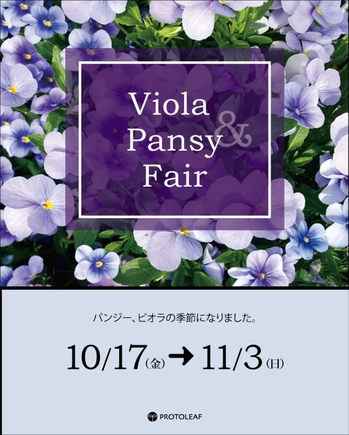 プロトリーフ二子玉川本店がViola&PansyFairを開催、LINE登録で10%OFFと寄せ植え提案が来店動機に - リーフラ編集部