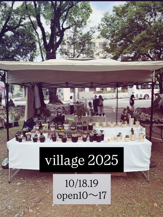 ヴィレッジ高知2025が高知市で開催、6エリアに207店舗が集結しKIZANPLANTSが鷹匠公園で出店