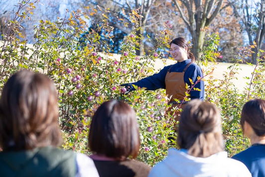 GunmaFlowerPark＋が花マルシェと育種家ツアーを開催、食香バラと解説付きガーデン体験が来園者の関心を集める