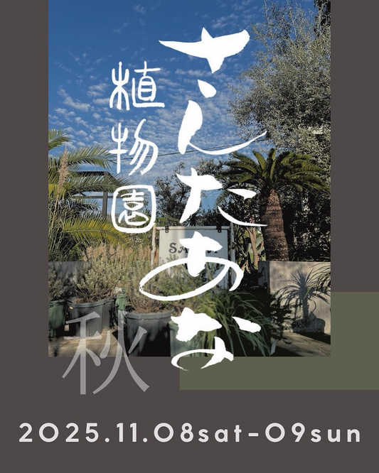 SANTAANAgardenがさんたあな植物園vol.10を開催、plantcontainerproductsやvandakaplantsの出店が久留米で注目を集める