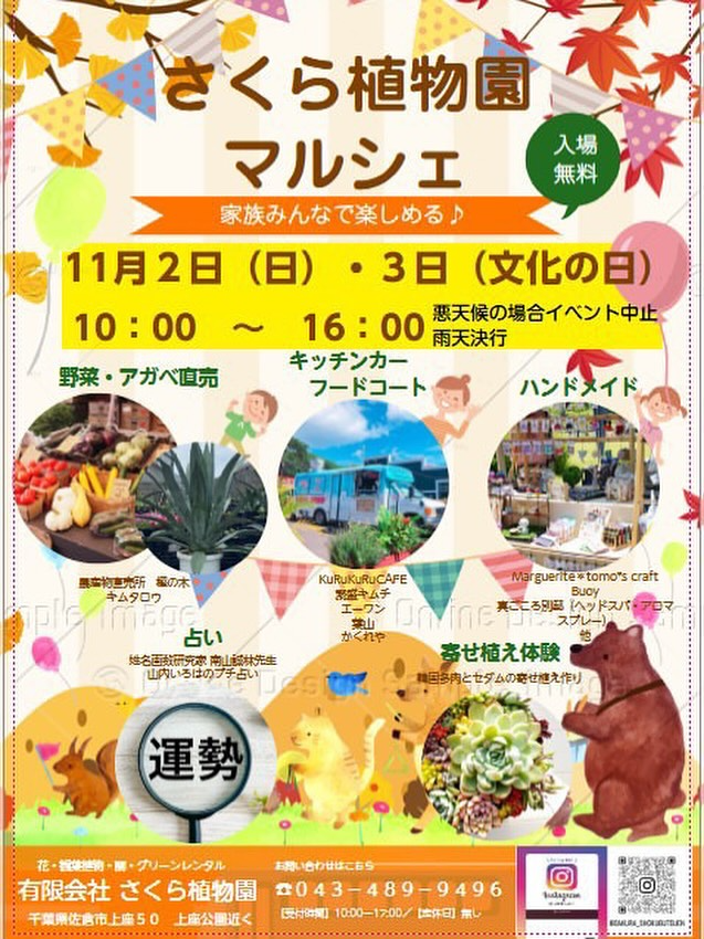 さくら植物園がさくら植物園マルシェを開催、季節野菜とアガベ直売や手仕事が集い秋の佐倉で注目を集める