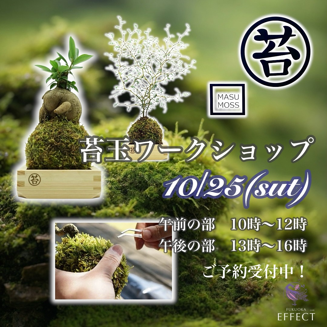 FUKUOKA EFFECTが苔玉ワークショップを開催、2025年10月25日に福岡市西区で少人数制の実技体験が学びと制作に