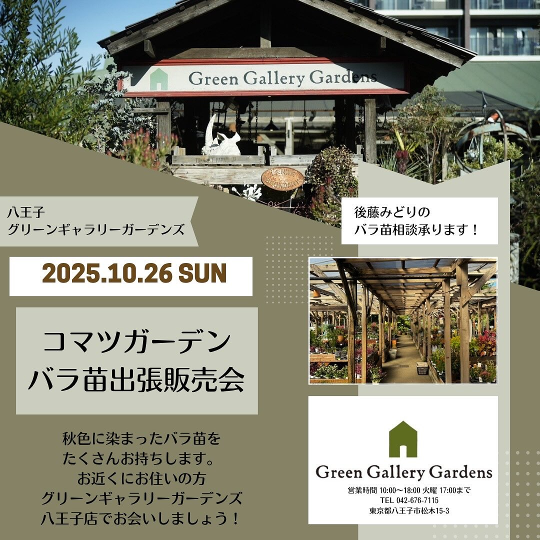 コマツガーデンがバラ苗即売会を開催、グリーンギャラリーガーデンズで秋色のラインアップが八王子の園芸需要に応える