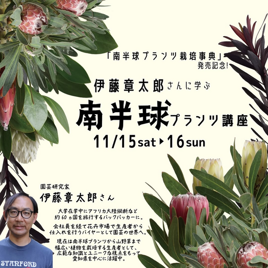 オザキフラワーパークが発売記念講座を開催、伊藤章太郎が南半球プランツ栽培を解説し来場者の学習需要に応える2025