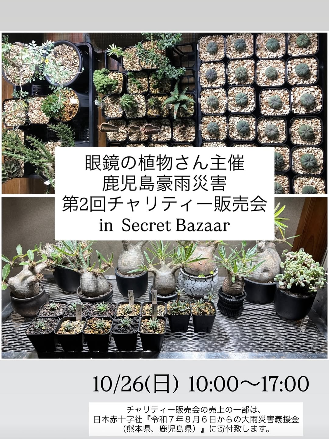 眼鏡の植物さんが第2回チャリティー販売会を開催、ナカムラ薬局で鹿児島豪雨災害支援の寄付につながる催しに