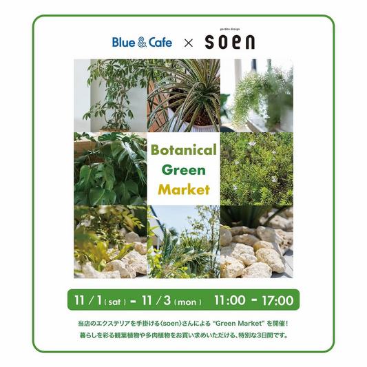 ブルー・アンド・カフェがBotanicalGreenMarketを開催、soenが観葉植物と多肉植物を提案し鹿児島の暮らしに彩りを加える