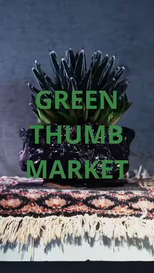 GREEN THUMB MARKET 2025を麻布台ヒルズ中央広場で開催、la brotoが植物とアートのMIXを出店し緑のある暮らしを提案