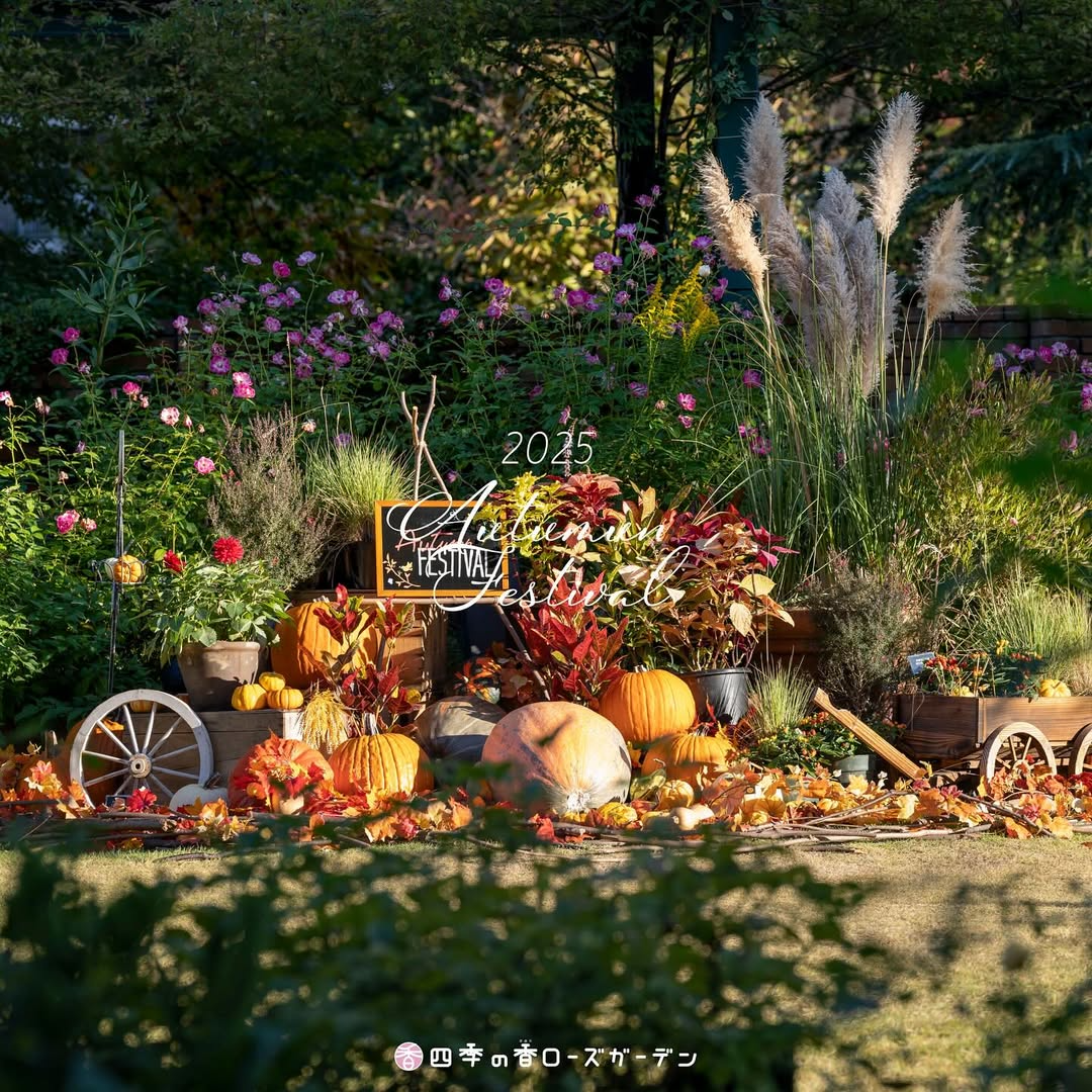 四季の香ローズガーデンが2025オータムフェスティバルを開催、秋バラとマルシェとコンサートが練馬区光が丘に集う