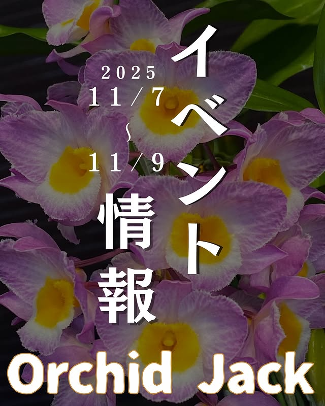 OCgardenがOrchidJack2025を開催、全国の洋ラン専門店が約4000鉢を販売し愛好家作品展示も来場動機を高める